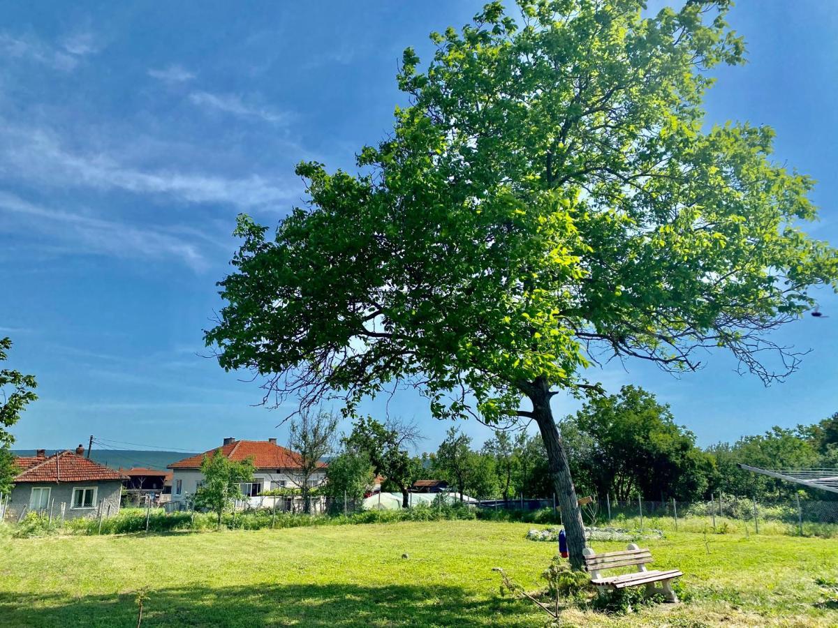 Caravans 10 Min To Tsonevo Lake & 35 Min To Black Sea Bagian luar foto