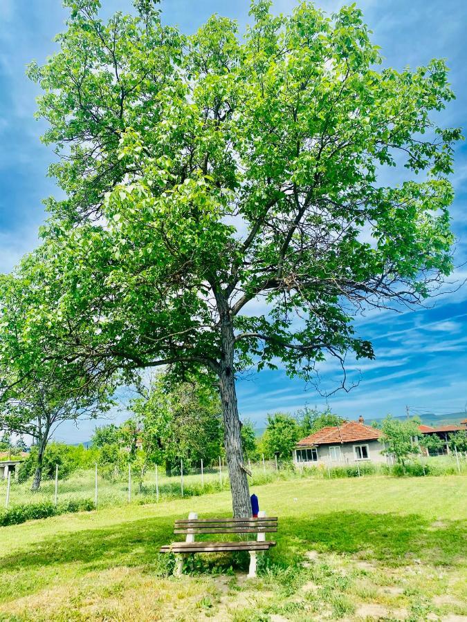 Caravans 10 Min To Tsonevo Lake & 35 Min To Black Sea Bagian luar foto