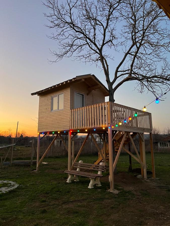 Caravans 10 Min To Tsonevo Lake & 35 Min To Black Sea Bagian luar foto